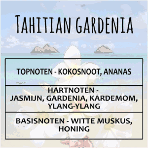 Tahitian Gardenia Waxmelt