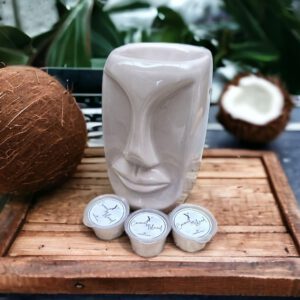 Coconut Island Waxmelt